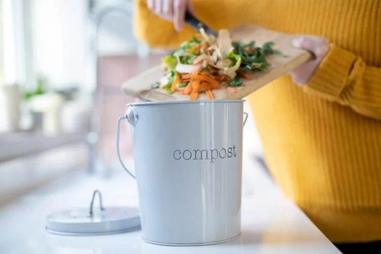 At-Home Compost-Anything high in nitrogen qualifies as green material.