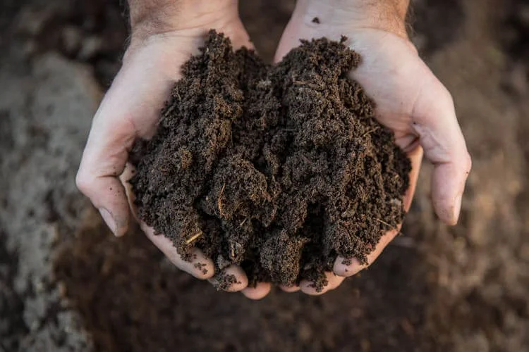 How to Make Your Own At-Home Compost Easily and Quickly
