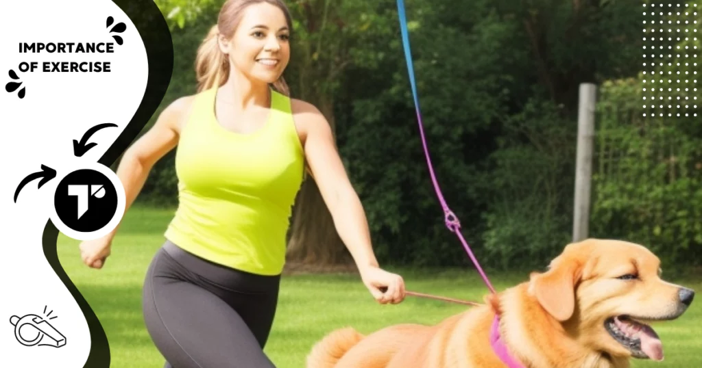 Exercise Importance of Dog Training that know Pets lovers | Tecolem